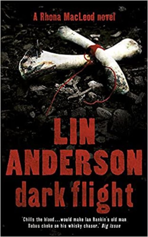 Book cover for "Dark Flight" by Lin Anderson