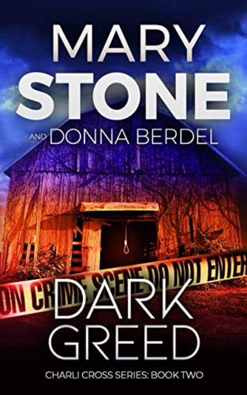 Book cover for "Dark Greed" by Mary Stone