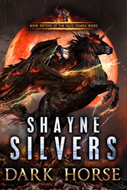Shayne Silvers book cover