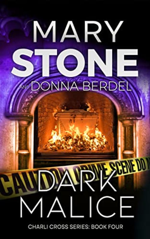 Book cover for "Dark Malice" by Mary Stone