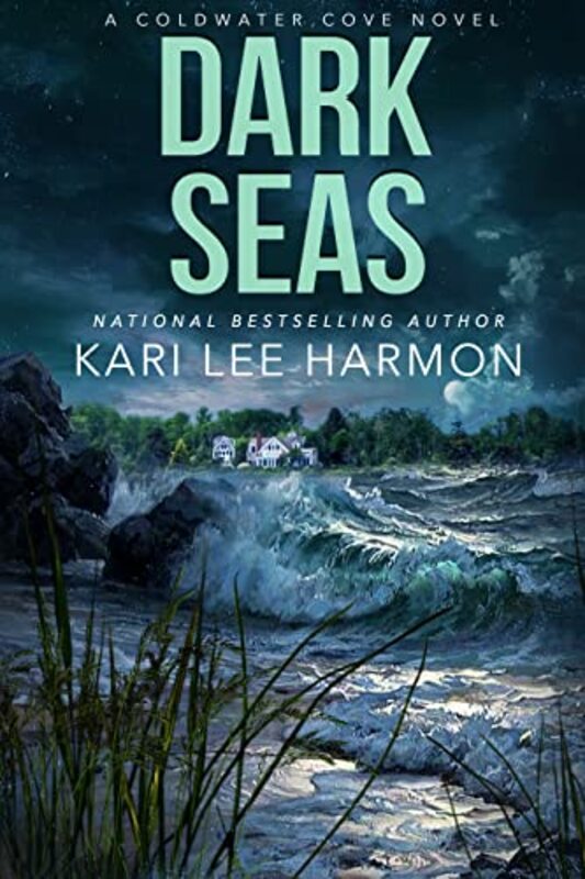 Book cover for "Dark Seas" by Kari Lee Townsend