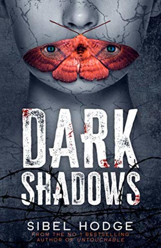 Sibel Hodge book cover