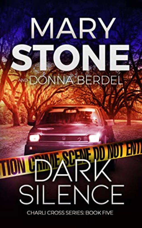 Book cover for "Dark Silence" by Mary Stone