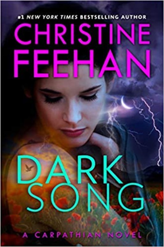 Dark book cover