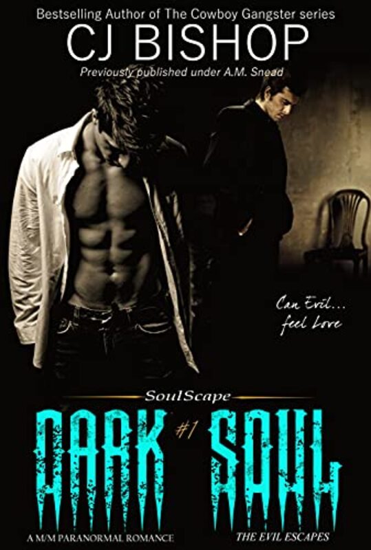 Book cover for "Dark Soul" by CJ Bishop