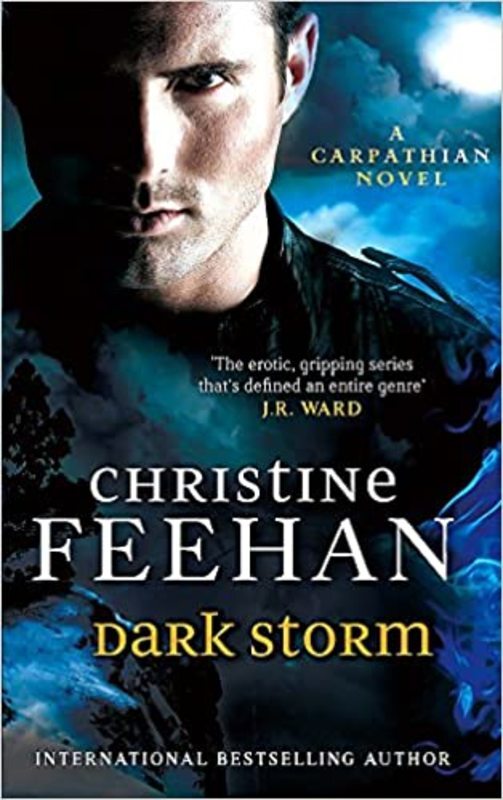 Book cover for "Dark Storm" by Christine Feehan