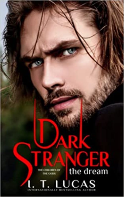Book cover for "Dark Stranger The Dream" by I T Lucas