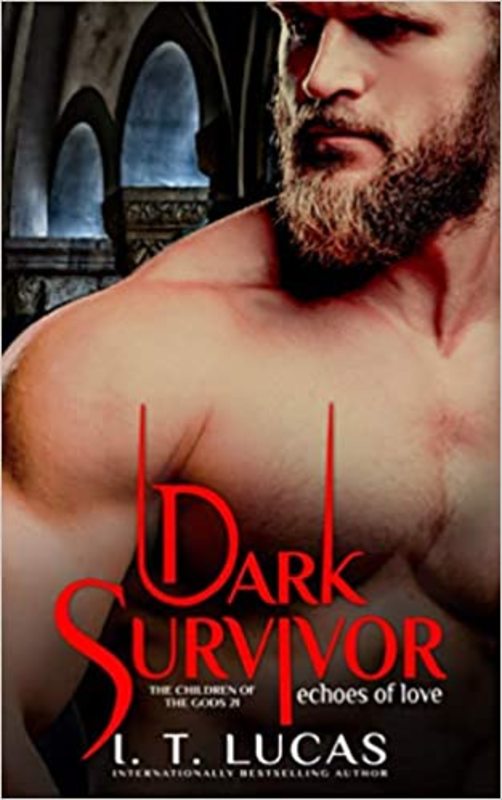 Book cover for "Dark Survivor Echoes of Love" by I T Lucas