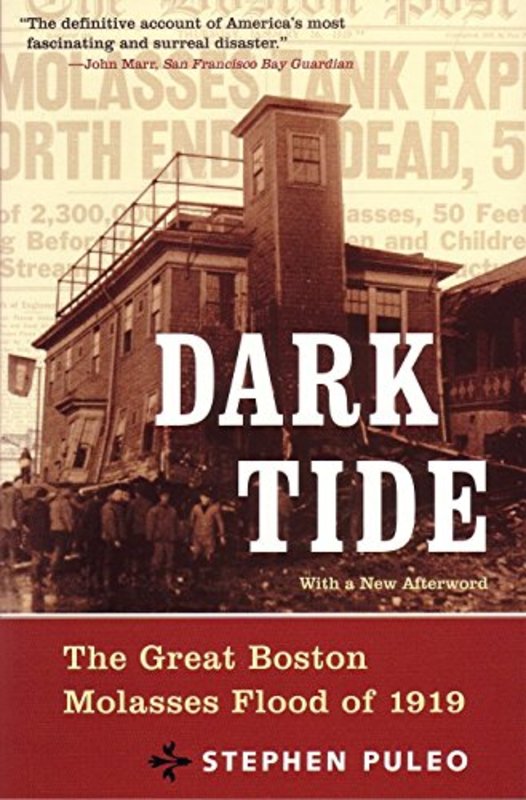 Book cover for "Dark Tide" by Stephen Puleo