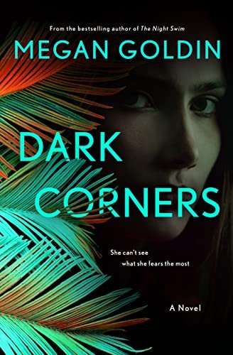Megan Goldin book cover
