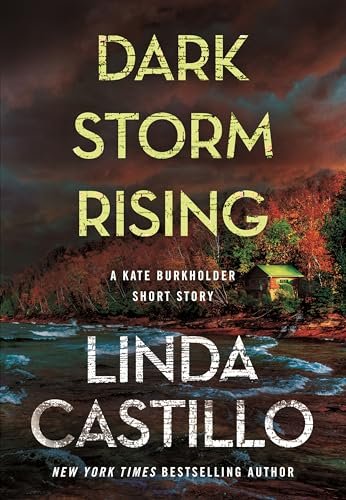 Linda Castillo book cover