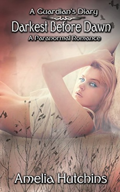 Book cover for "Darkest Before Dawn" by Amelia Hutchins