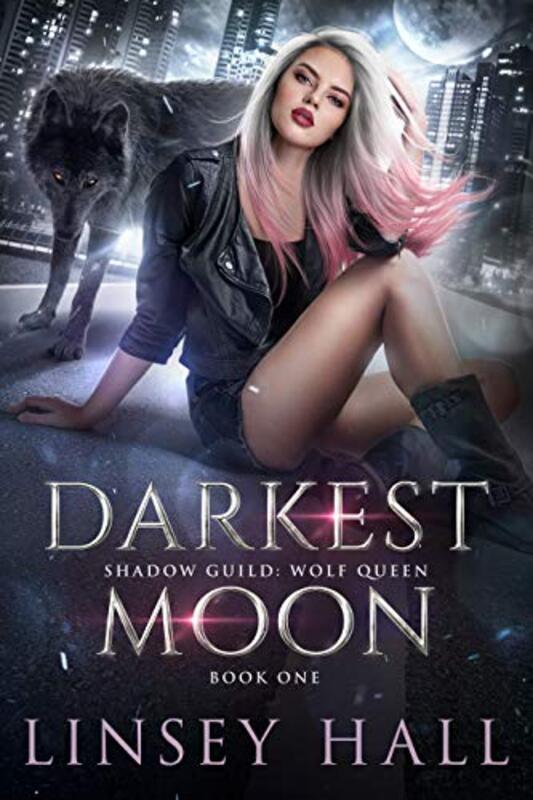 Shadow Guild book cover