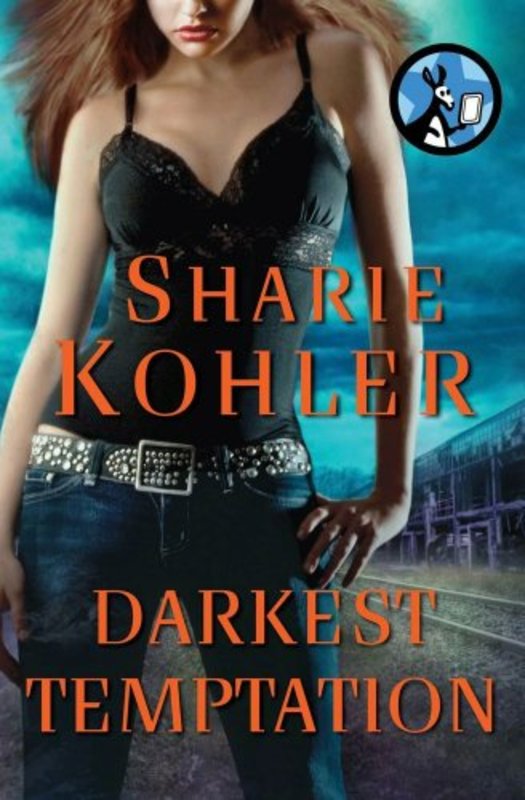 Moon Chasers book cover