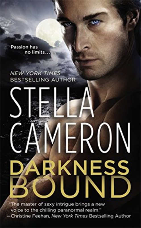 Book cover for "Darkness Bound" by Stella Cameron