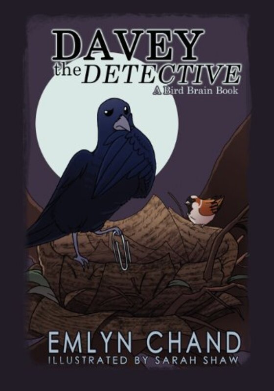 Book cover for "Davey the Detective" by Emlyn Chand