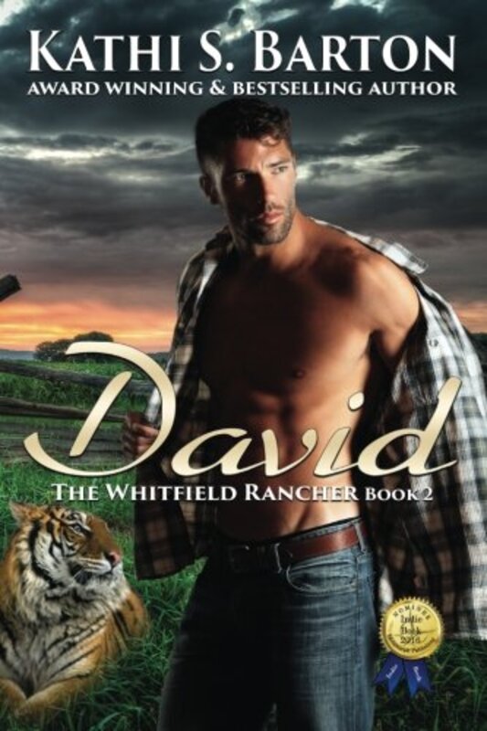 Book cover for "David" by Kathi S Barton