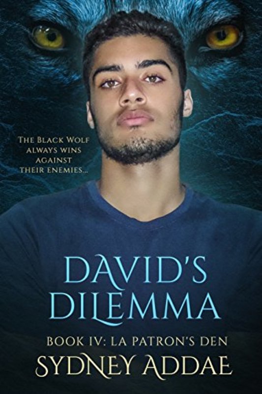 Book cover for "David's Dilemma" by Sydney Addae