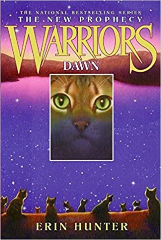 Book cover for "Dawn" by Erin Hunter
