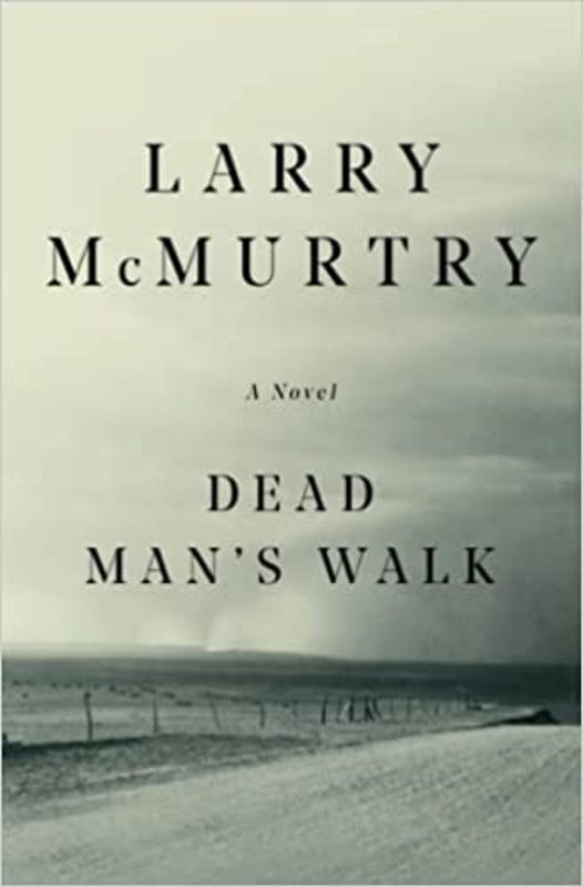 Lonesome Dove book cover