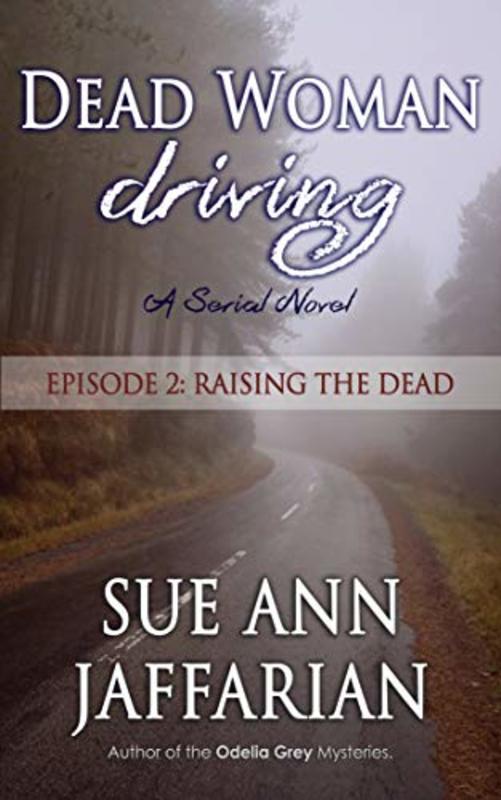 Sue Ann Jaffarian book cover