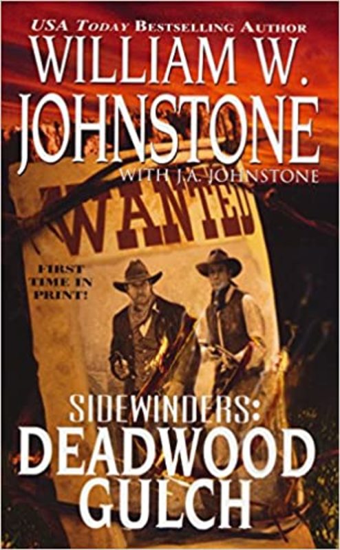 Book cover for "Deadwood Gulch" by William W Johnstone
