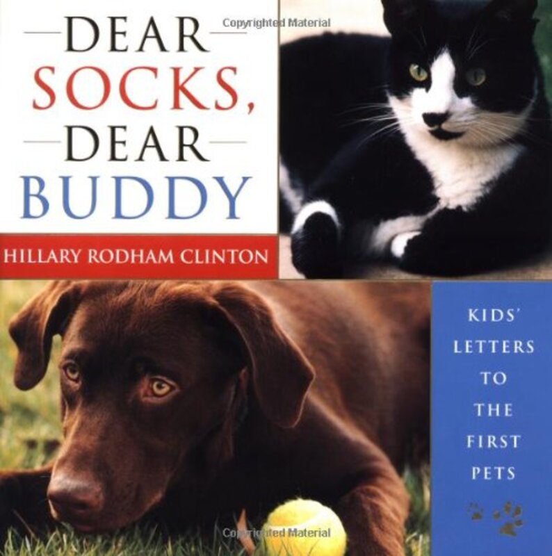Book cover for "Dear Socks, Dear Buddy"