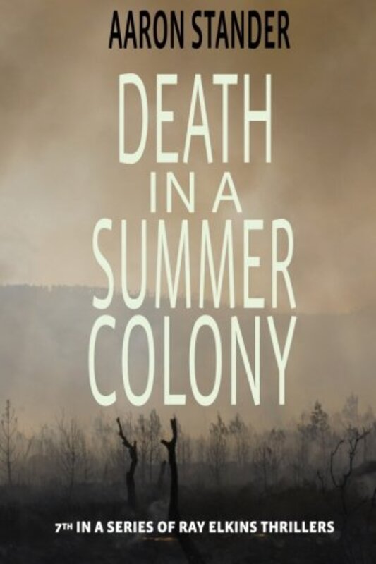 Book cover for "Death in a Summer Colony" by Aaron Stander