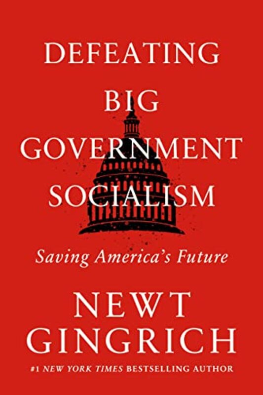 Book cover for "Defeating Big Government Socialism"