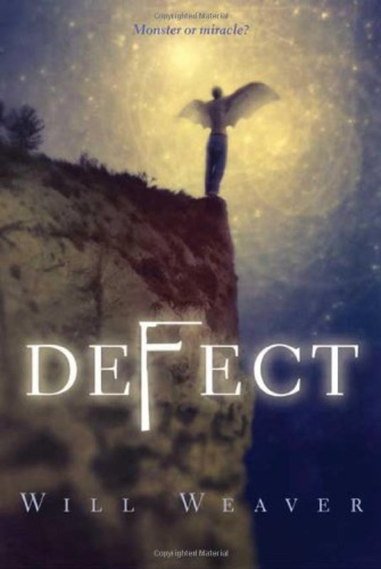 Book cover for "Defect" by Will Weaver