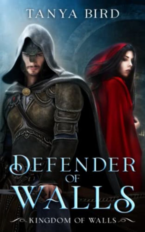 Book cover for "Defender of Walls" by Tanya Bird