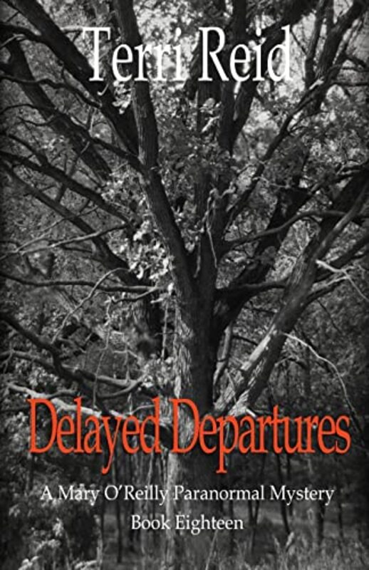 Book cover for "Delayed Departures" by Terri Reid