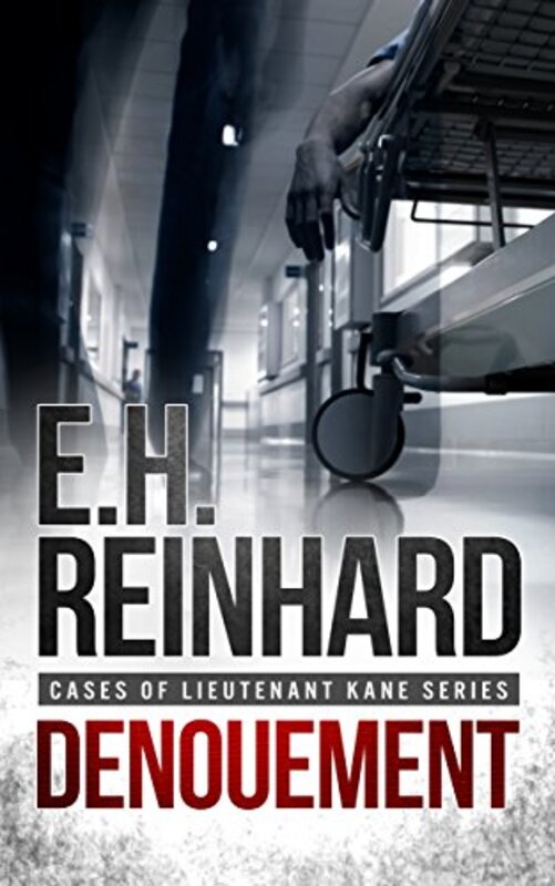 Book cover for "Denouement" by E H Reinhard