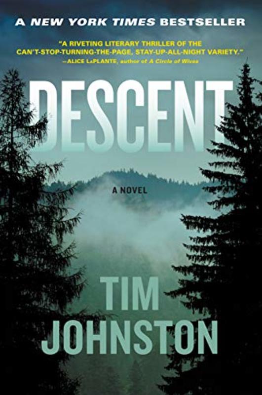 Book cover for "Descent" by Tim Johnston