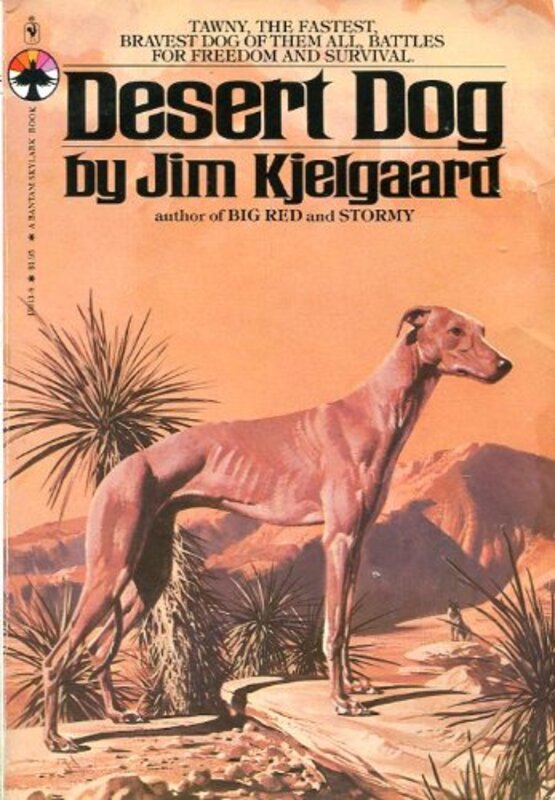 Book cover for "Desert Dog" by Jim Kjelgaard