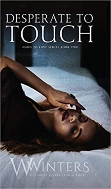 Book cover for "Desperate to Touch" by Willow Winters