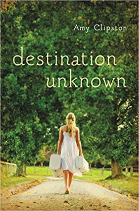 Book cover for "Destination Unknown" by Amy Clipston