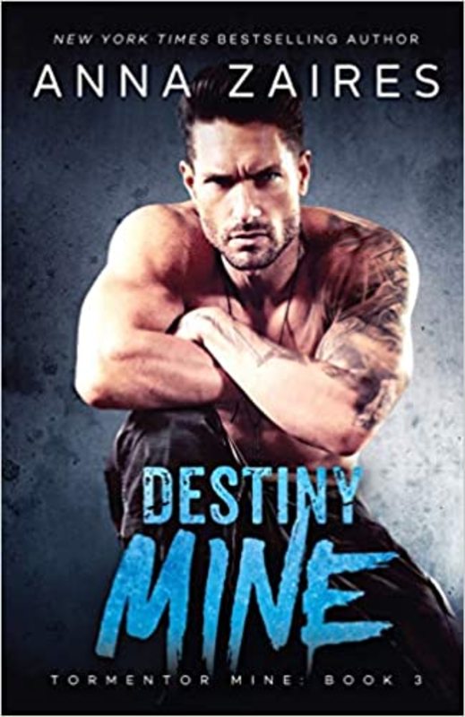 Book cover for "Destiny Mine" by Anna Zaires