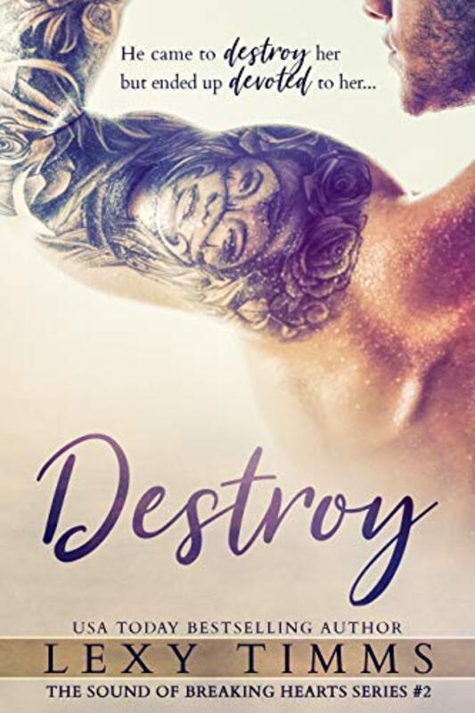 Book cover for "Destroy" by Lexy Timms