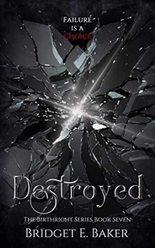Book cover for "Destroyed" by Bridget E Baker