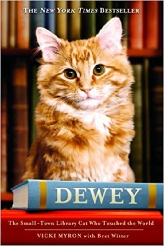 Book cover for "Dewey" by Vicki Myron