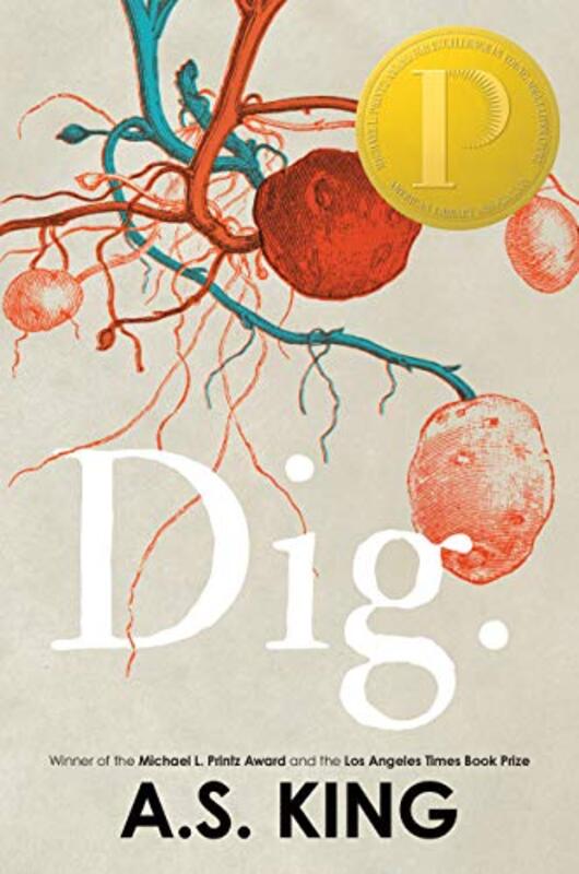 AS King book cover