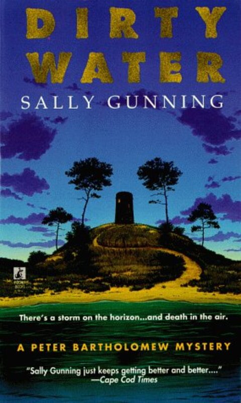 Book cover for "Dirty Water" by Sally Gunning