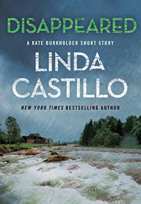 Book cover for "Disappeared" by Linda Castillo