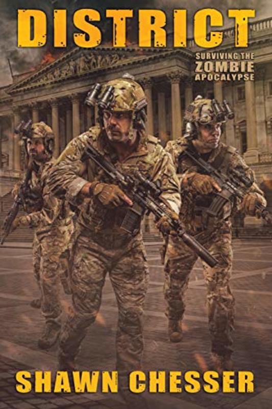 Book cover for "District" by Shawn Chesser