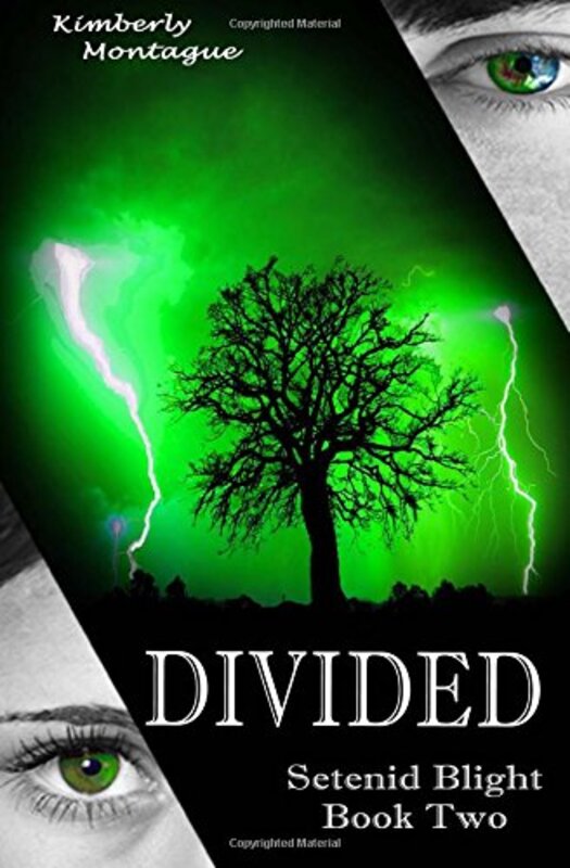 Kimberly Montague book cover