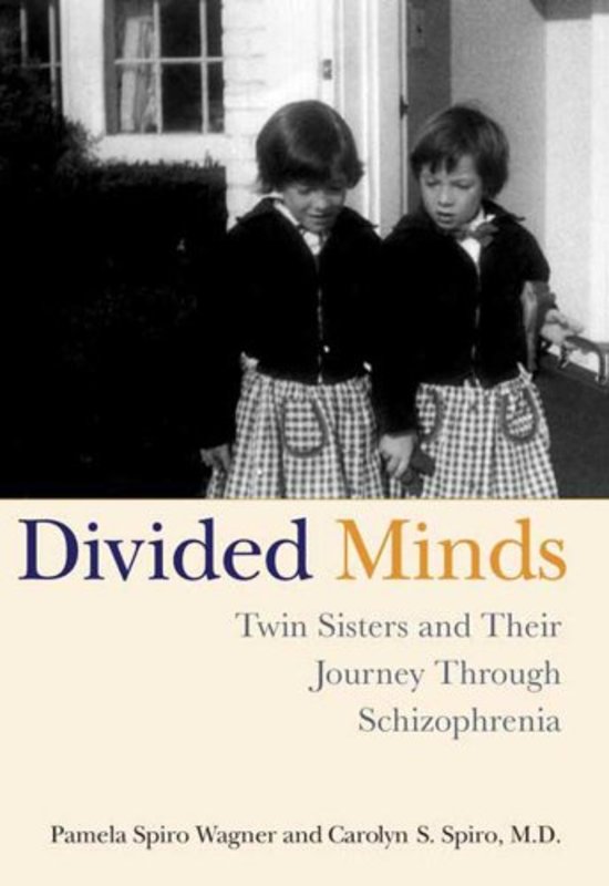 Book cover for "Divided Minds" by Pamela Spiro Wagner