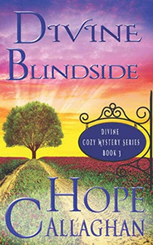 Book cover for "Divine Blindside" by Hope Callaghan