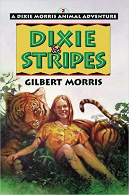Book cover for "Dixie and Stripes" by Gilbert Morris