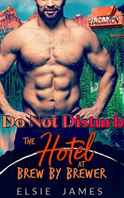 Book cover for "Do Not Disturb" by Elsie James